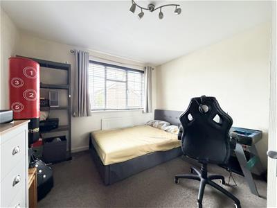 Picture 11